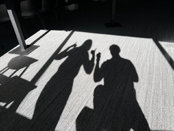 How shadowing turned a sketch into org change