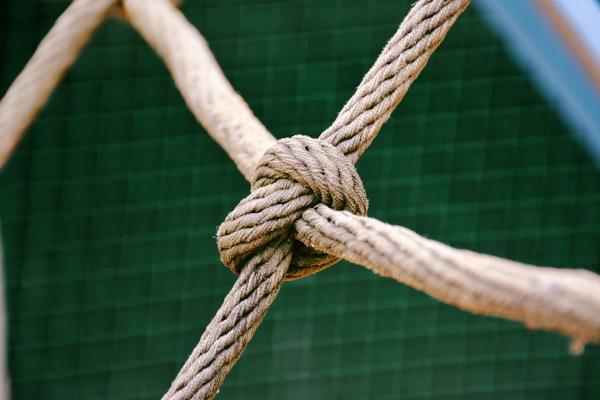 Fundamental skills – what they are and why they persist