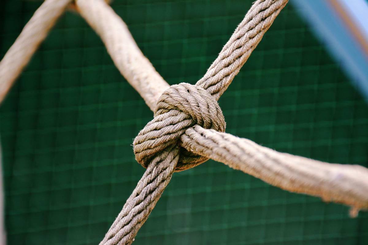 Fundamental skills – what they are and why they persist